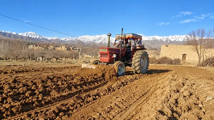 Landwirtschaftsprojekt in Afghanistan