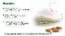 Folie5.webp