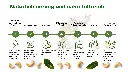 DE | Vorteile | Natürlich cremig und nährstoffreich | Gesunde Fette, Magnesium, Eisen, pflanzliches Protein und Ballaststoffe – 100 % ganze Cashewnüsse ohne Zusätze.