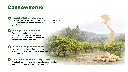 DE | Herkunft | Aus Vietnam | Eine der besten Cashew-Regionen der Welt: tropisches Klima, leichte Böden und traditioneller Anbau.