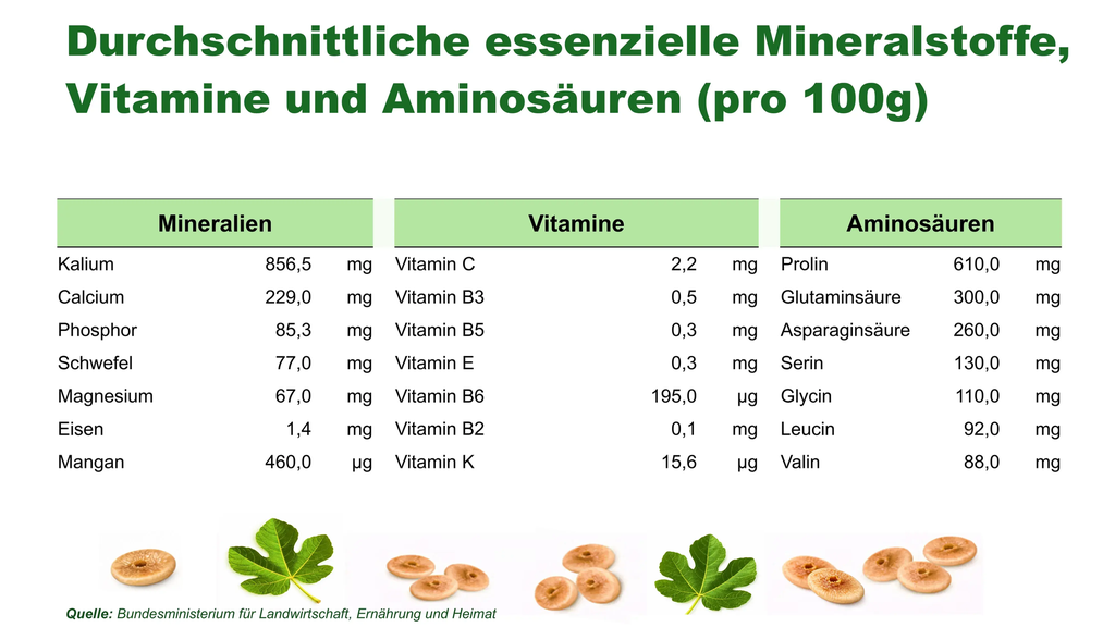 DE | Nährwerte | Was in 100 g steckt | 856 mg Kalium und 229 mg Calcium pro 100 g – alle Mineralstoffe, Vitamine und Aminosäuren im Überblick.