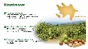 DE | Herkunft | Aus den Bergen Aserbaidschans | Mildes Bergklima, fruchtbare Böden und erfahrene Familienbetriebe mit langjähriger Expertise.