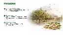 Folie5.webp