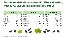 Folie3.webp