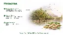 Folie5.webp