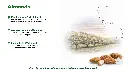 Folie5.webp