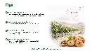 Folie5.webp