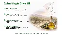 Folie4 English.webp