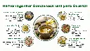 Folie3.webp
