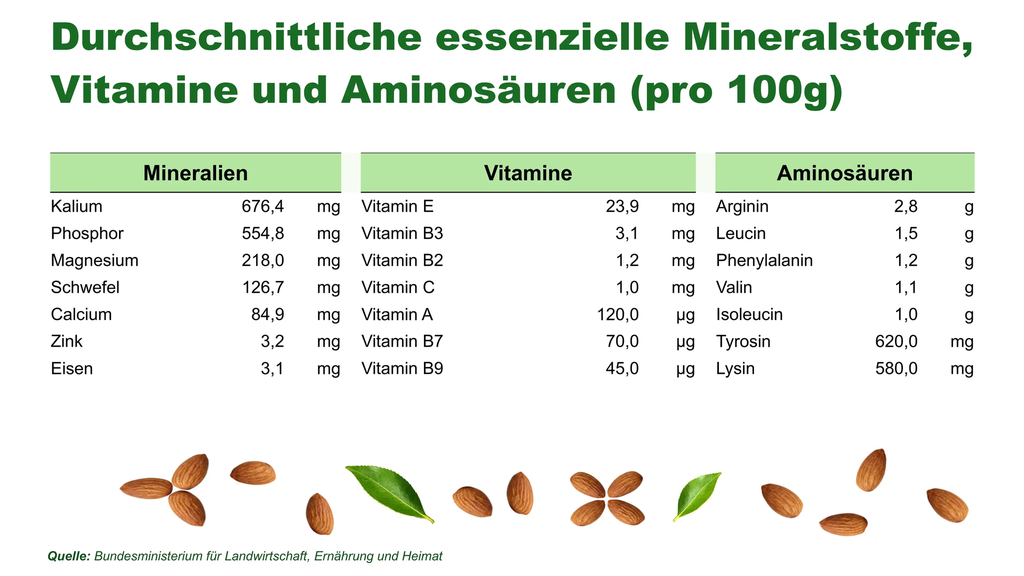 DE | Nährwerte | Was in 100 g steckt | 23,9 mg Vitamin E und 218 mg Magnesium pro 100 g – alle Mineralstoffe, Vitamine und Aminosäuren im Überblick.