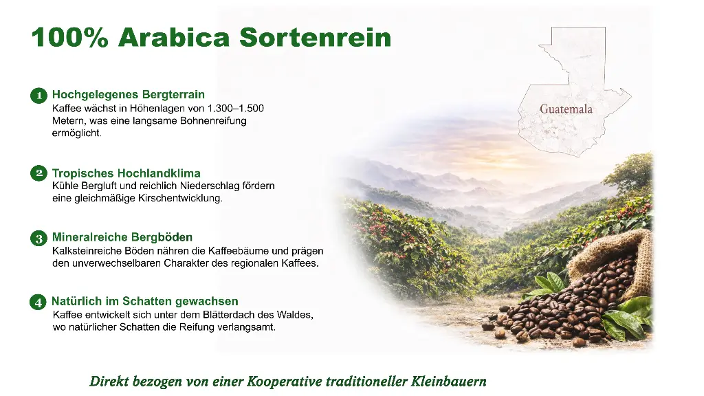 DE | Herkunft | Aus dem Hochland Guatemalas | Gewachsen auf 1.300–1.500 m im Schatten des Waldes, direkt bezogen von einer Kooperative traditioneller Kleinbauern.