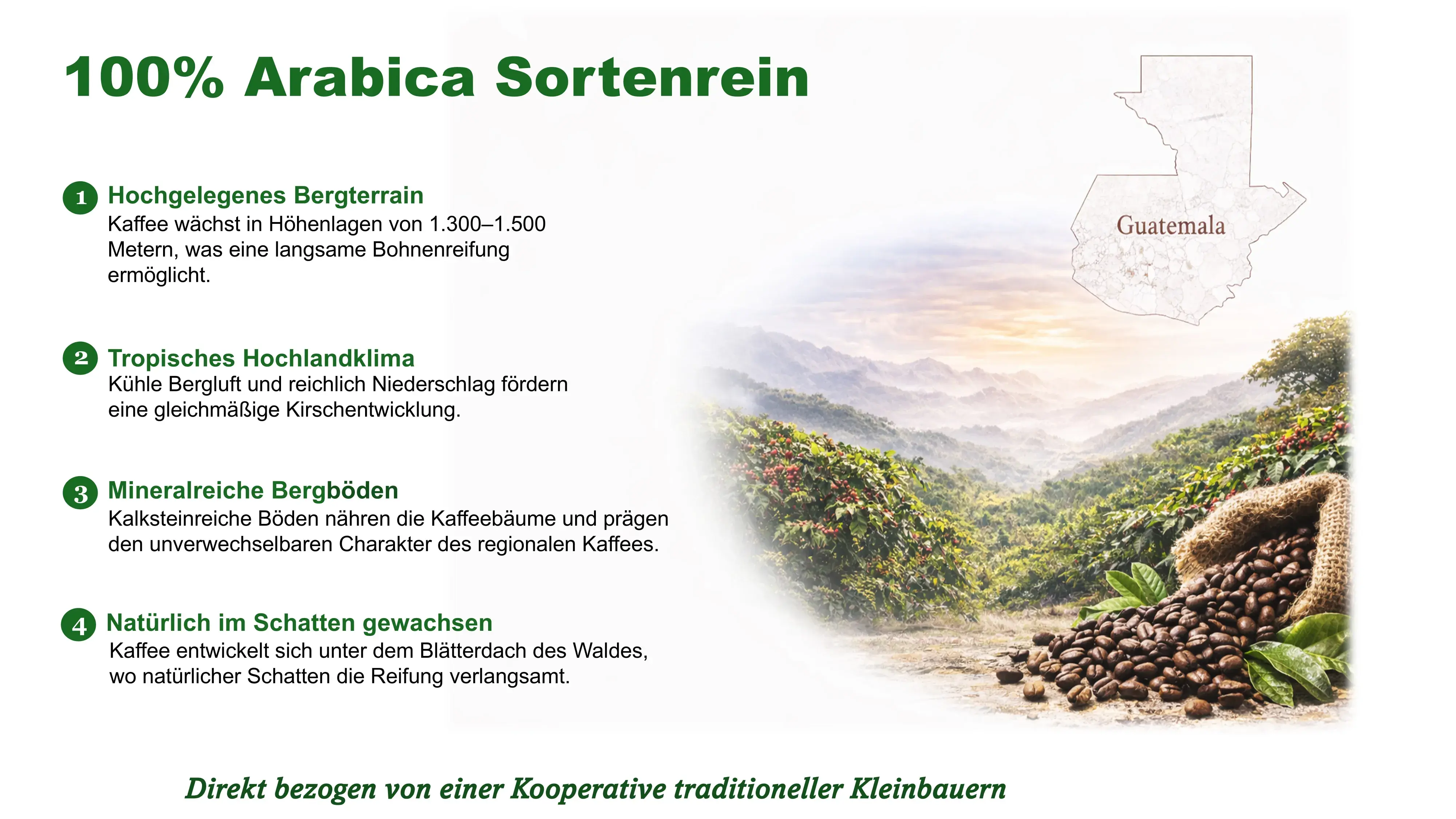Aus dem Hochland Guatemalas