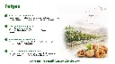 DE | Herkunft | Aus Afghanistan | Traditionell angebaut von Kleinbauern – mit viel Sonne, trockener Luft und mineralreichen Böden.