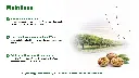DE | Herkunft | Aus dem Central Valley Kaliforniens | Mittelmeerklima, tiefe fruchtbare Böden und viel Sonne – von familiengeführten Betrieben.