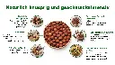 DE | Anwendung | Snack, Backzutat, Genuss | Als Energiesnack für unterwegs, zum Backen, in Schokolade oder zum Frühstück.
