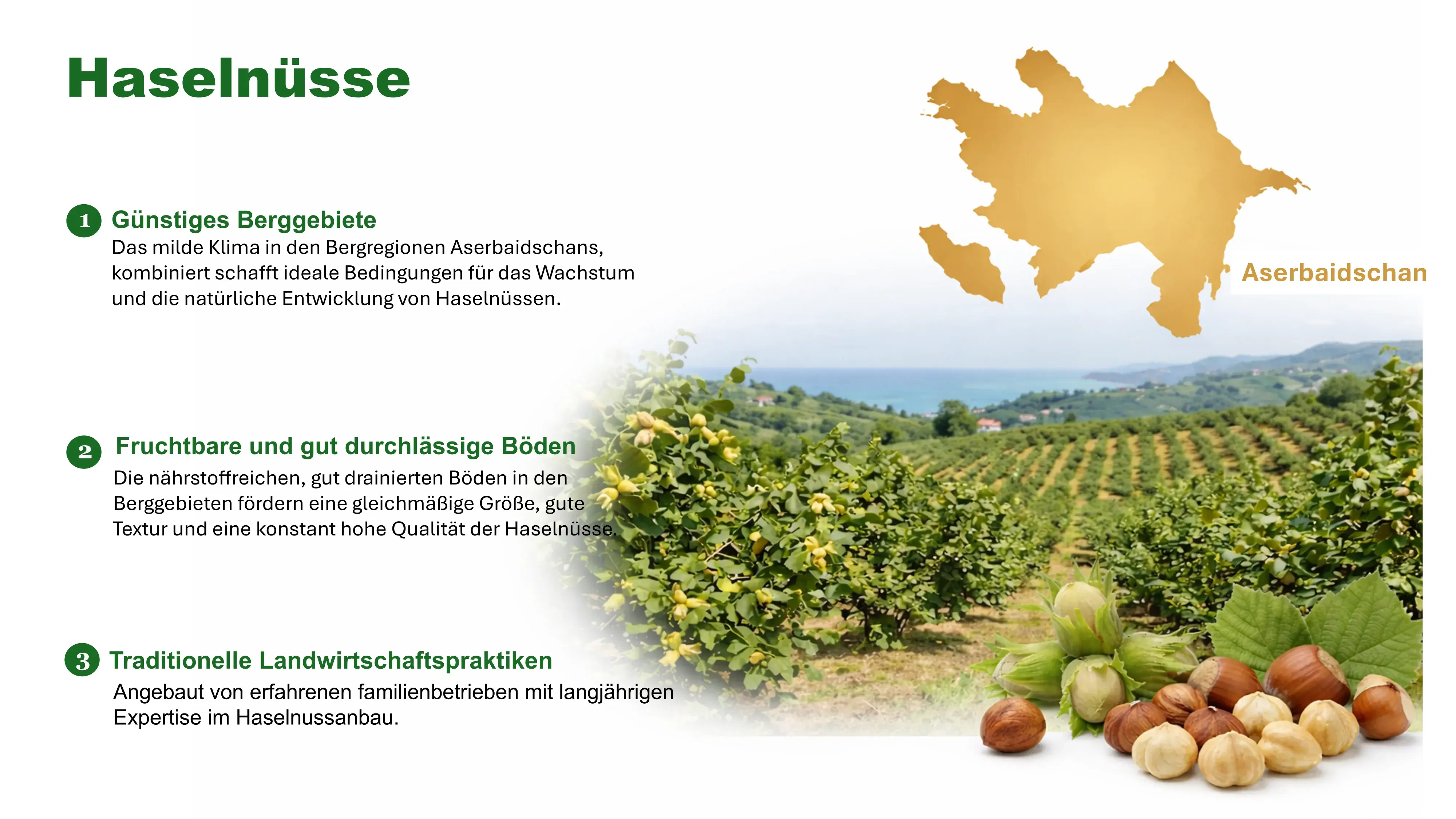 Aus den Bergen Aserbaidschans