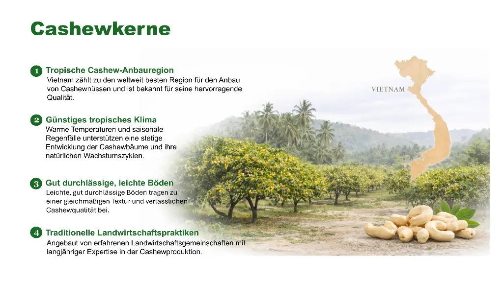 DE | Herkunft | Aus Vietnam | Eine der besten Cashew-Regionen der Welt: tropisches Klima, leichte Böden und traditioneller Anbau.