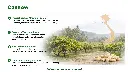 EN | Origin | From Vietnam | One of the world’s finest cashew regions: tropical climate, light soils and traditional farming.