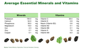 EN | Nutrition | What’s in 100 g | 36.4 mg vitamin C and 4.3 mg iron per 100 g – all minerals and vitamins at a glance.